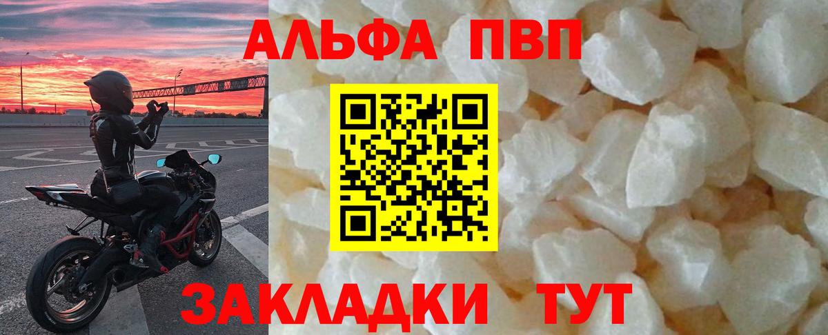 Alfa_PVP СК Губкин