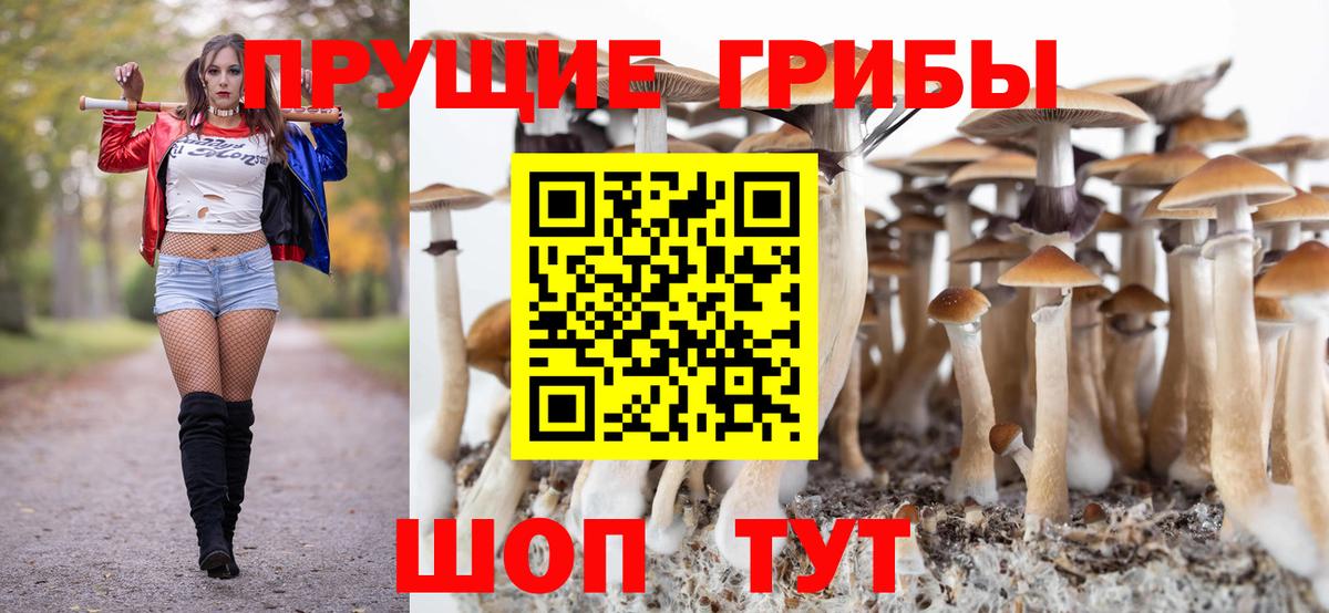 Псилоцибиновые грибы Psilocybine cubensis Губкин