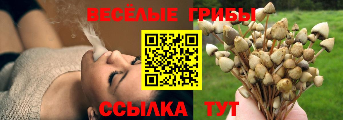 Галлюциногенные грибы ЛСД  Вход с VPN  Губкин 